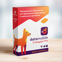 ПО DataMobile, версия Стандарт Pro во Владивостоке